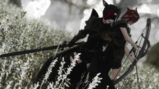 Hunting In Fog