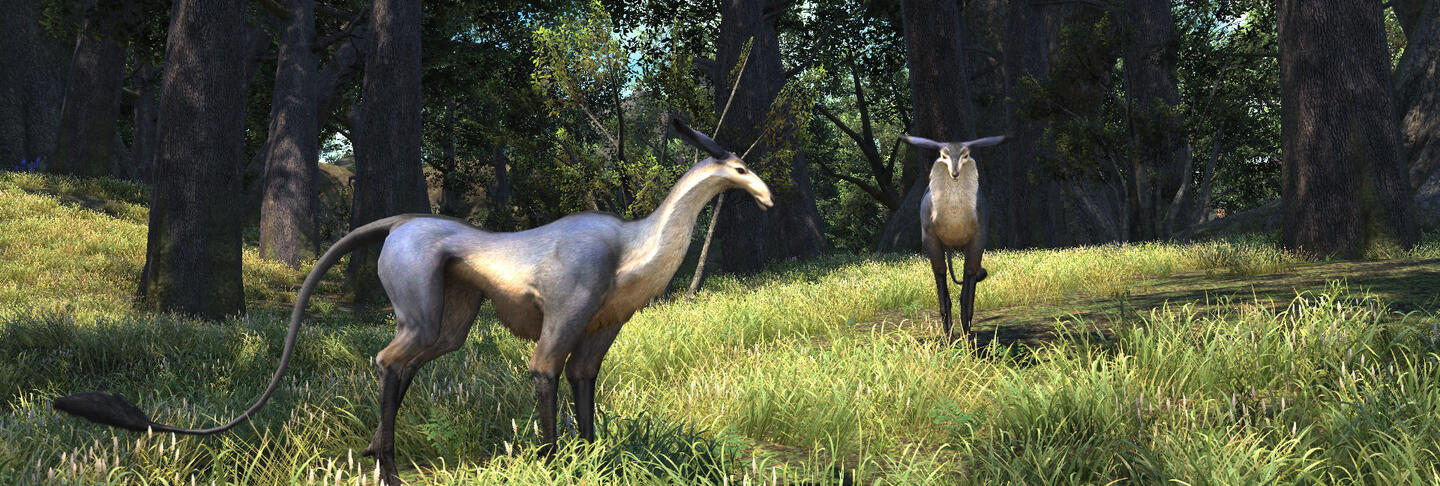 Real antelopes